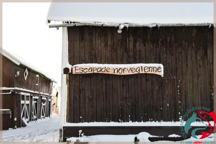 Escapade Norvegienne Apartment Tolga Екстериор снимка