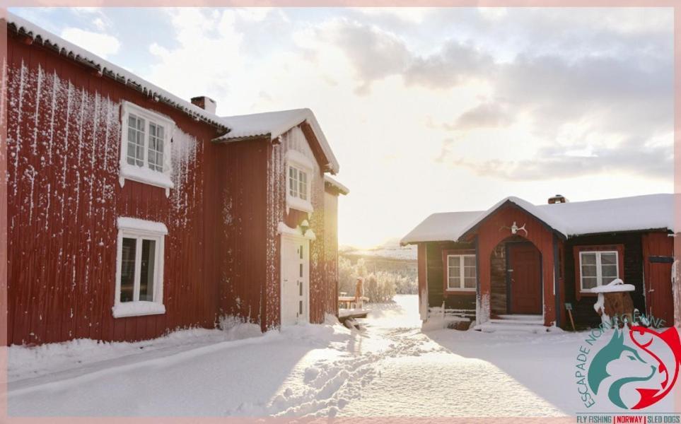Escapade Norvegienne Apartment Tolga Екстериор снимка