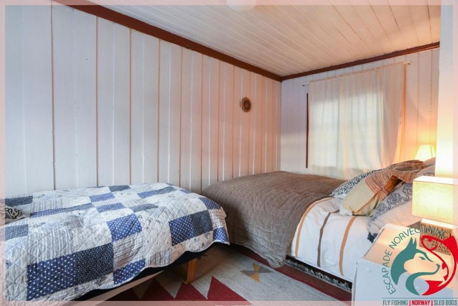 Escapade Norvegienne Apartment Tolga Екстериор снимка
