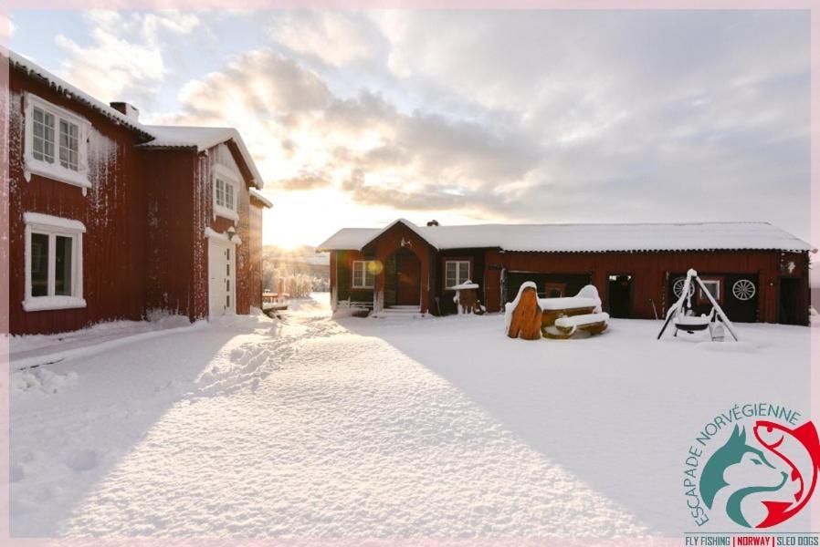 Escapade Norvegienne Apartment Tolga Екстериор снимка