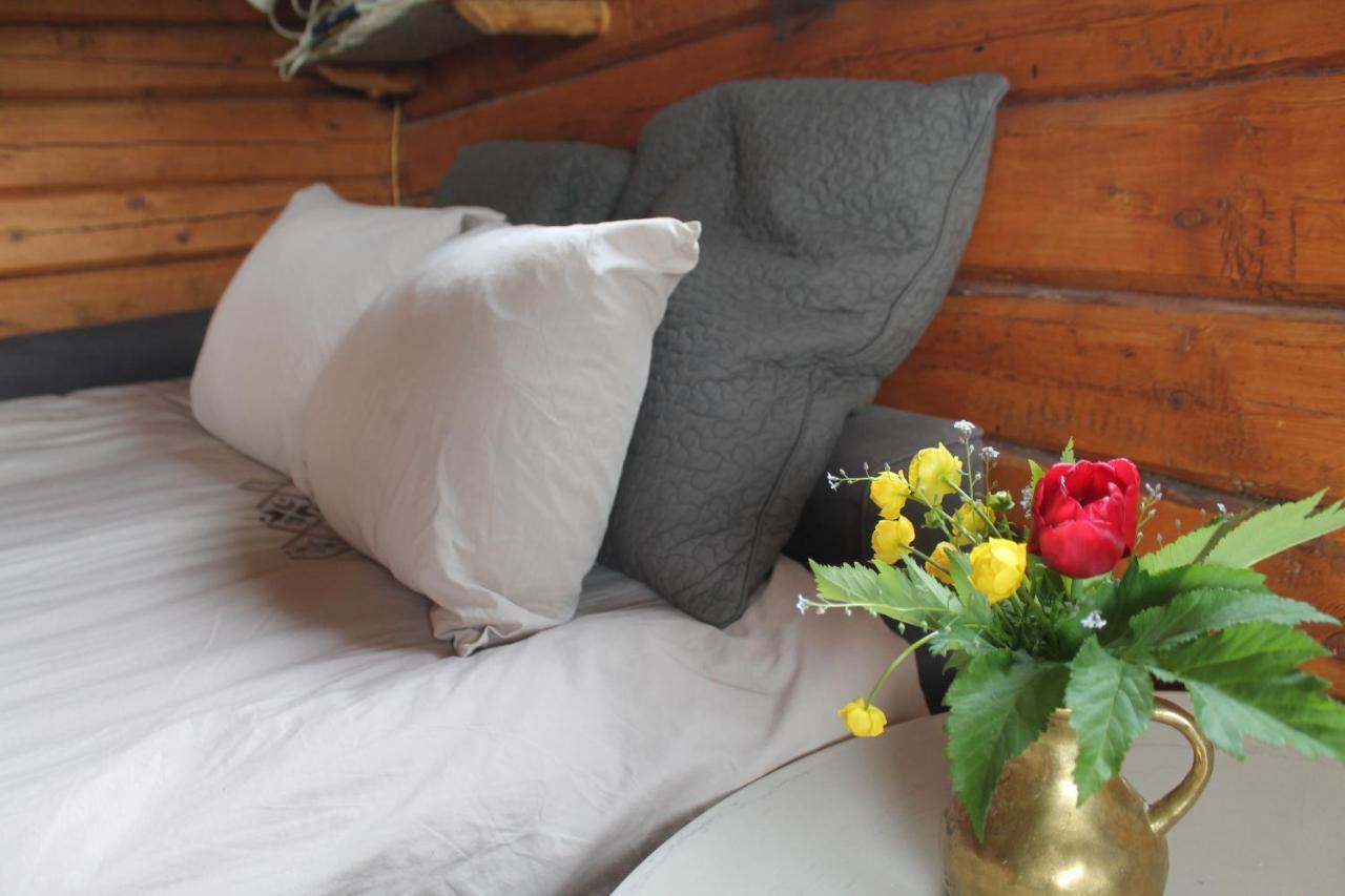 Escapade Norvegienne Apartment Tolga Екстериор снимка