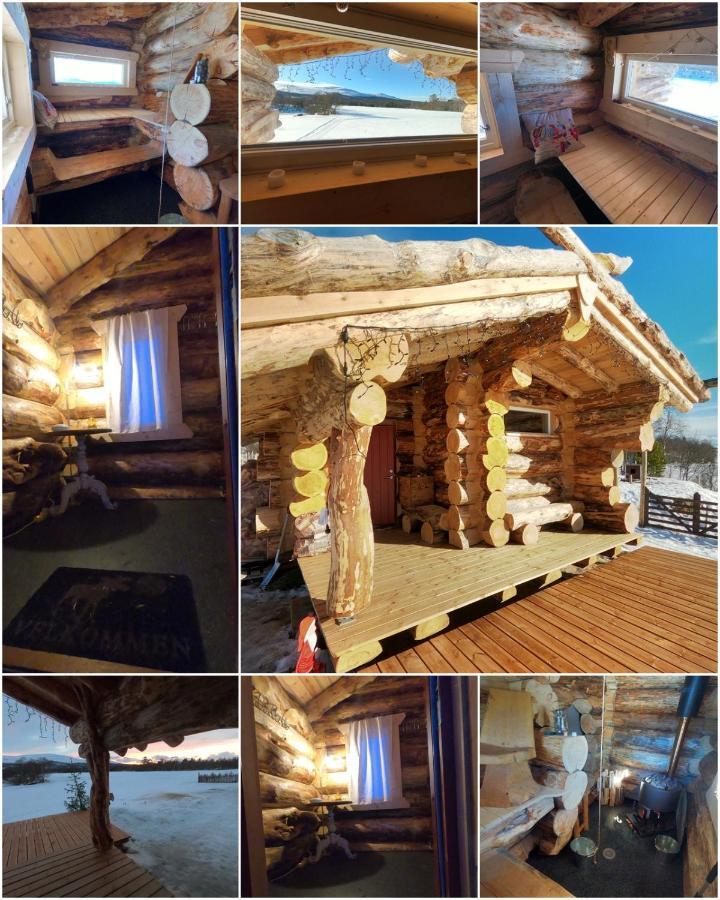 Escapade Norvegienne Apartment Tolga Екстериор снимка