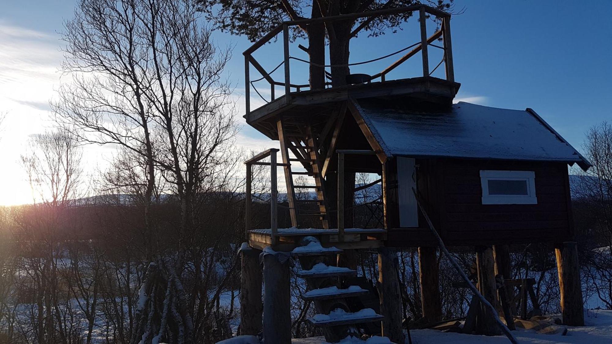 Escapade Norvegienne Apartment Tolga Екстериор снимка