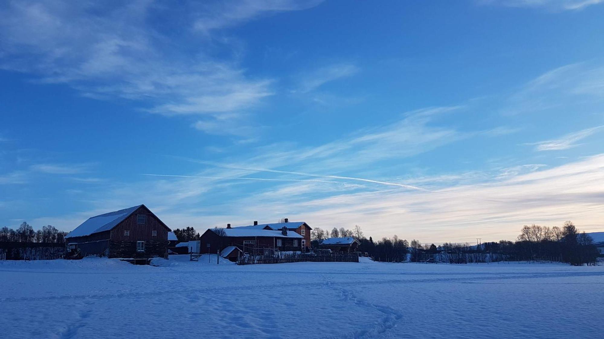 Escapade Norvegienne Apartment Tolga Екстериор снимка