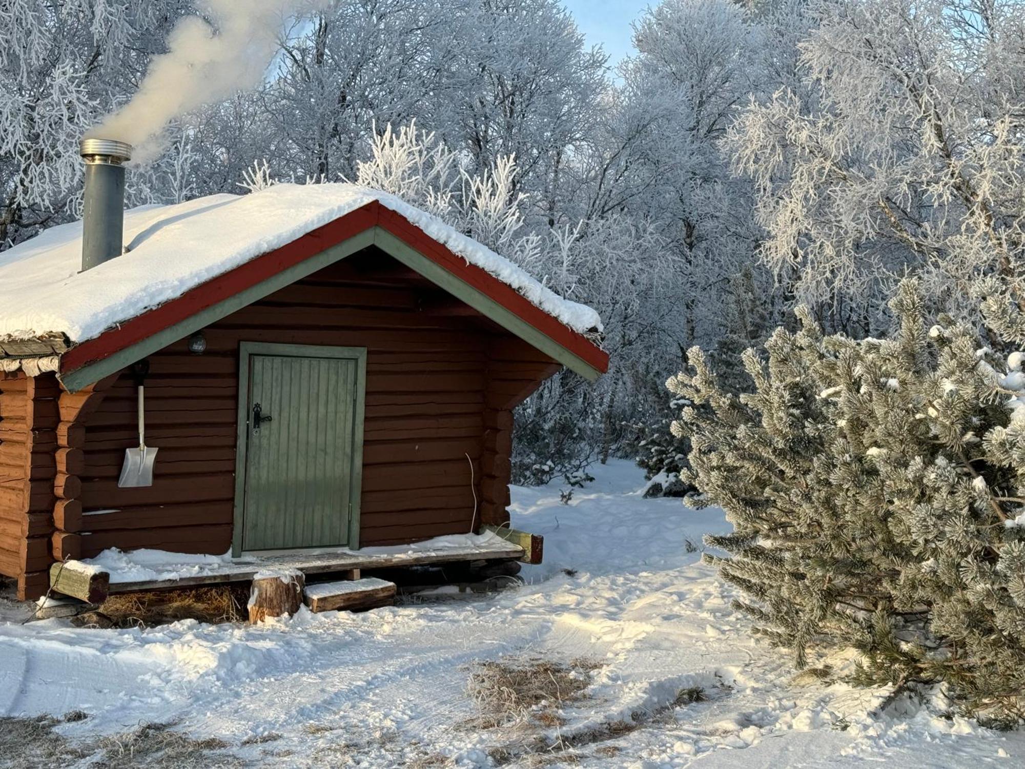 Escapade Norvegienne Apartment Tolga Екстериор снимка