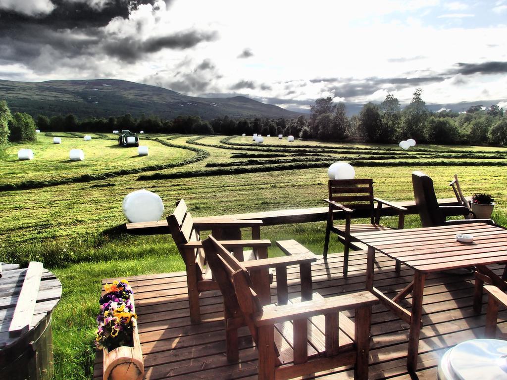 Escapade Norvegienne Apartment Tolga Екстериор снимка