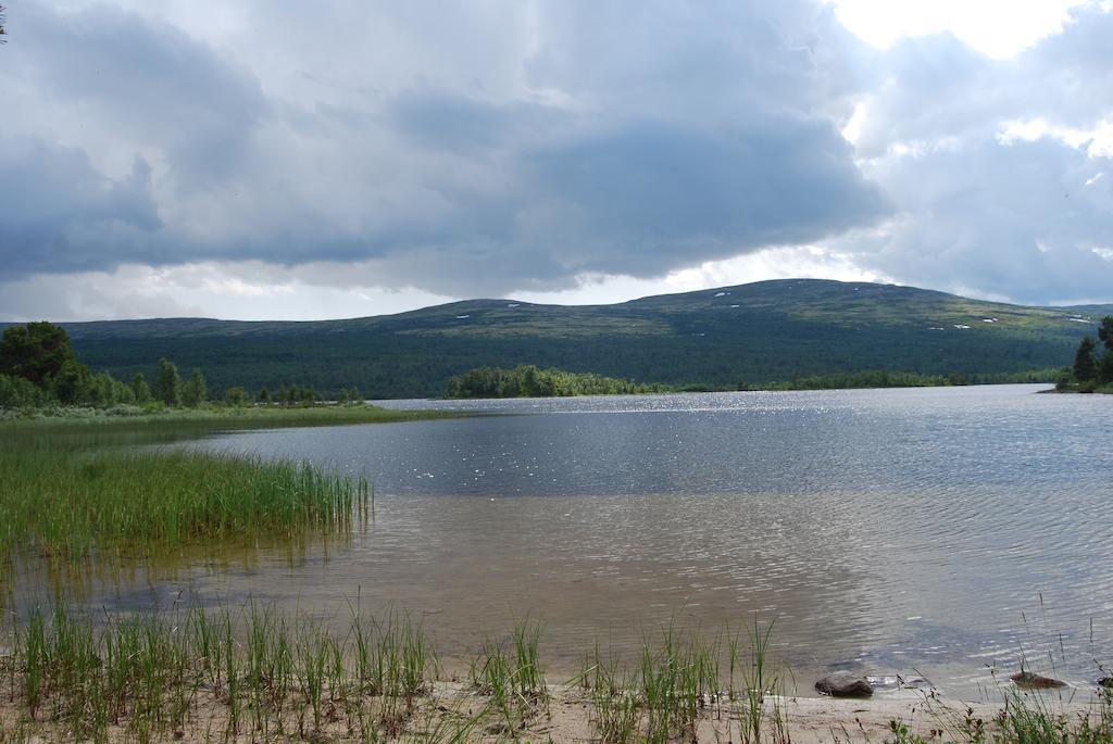 Escapade Norvegienne Apartment Tolga Екстериор снимка