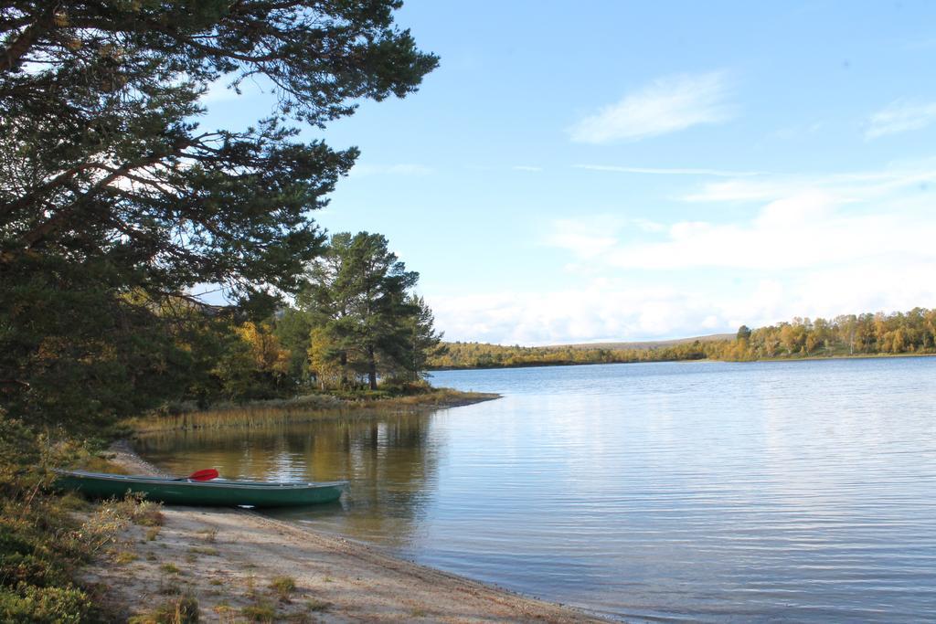 Escapade Norvegienne Apartment Tolga Екстериор снимка