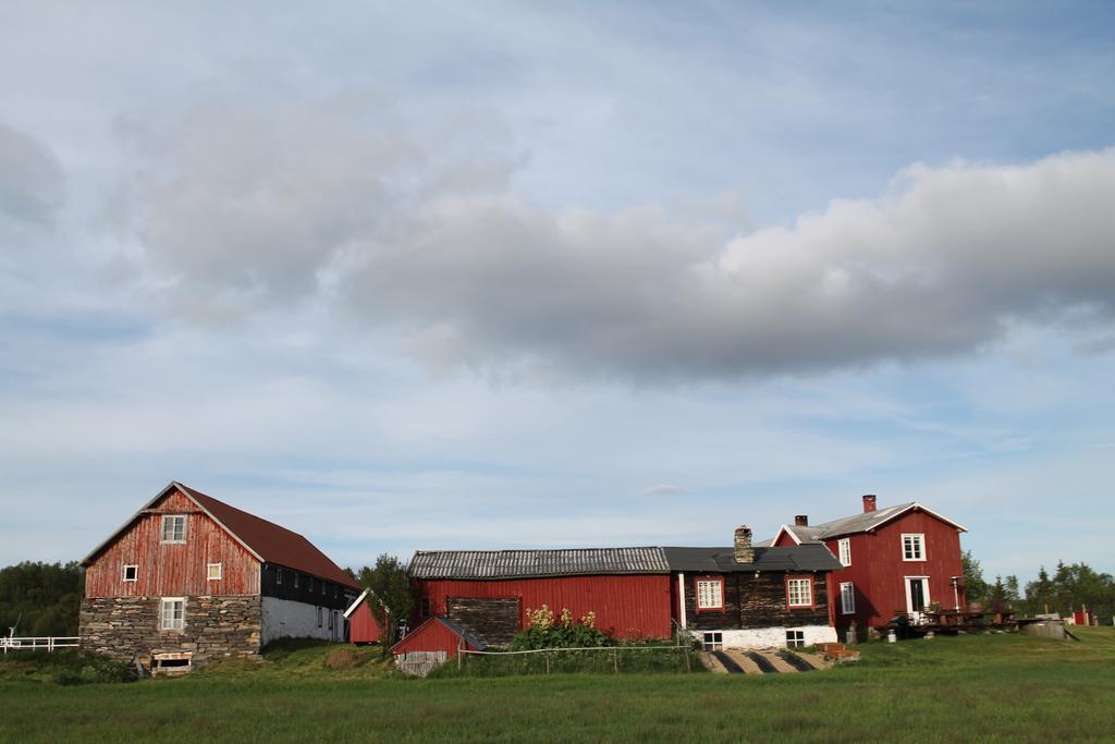 Escapade Norvegienne Apartment Tolga Екстериор снимка